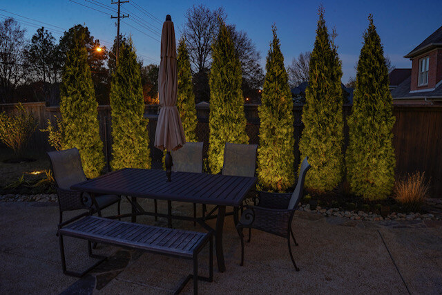 Casello bushes off patio with outdoor lighting