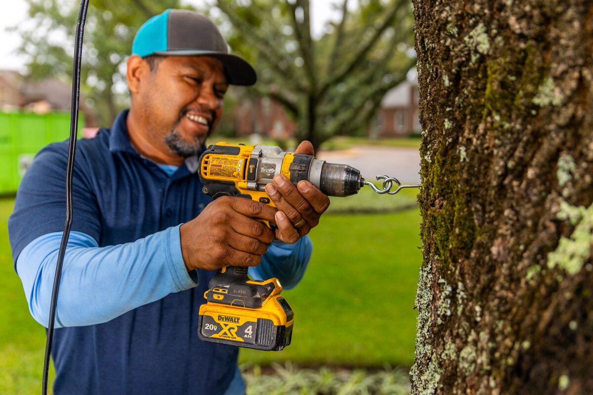 Residential landscape lighting crew tree downlighting installation 1 