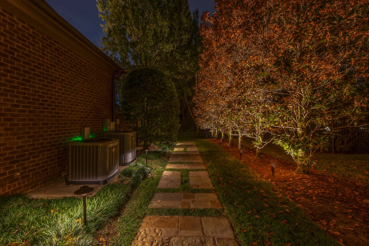 Residential landscape lighting pathway and tree uplighting 