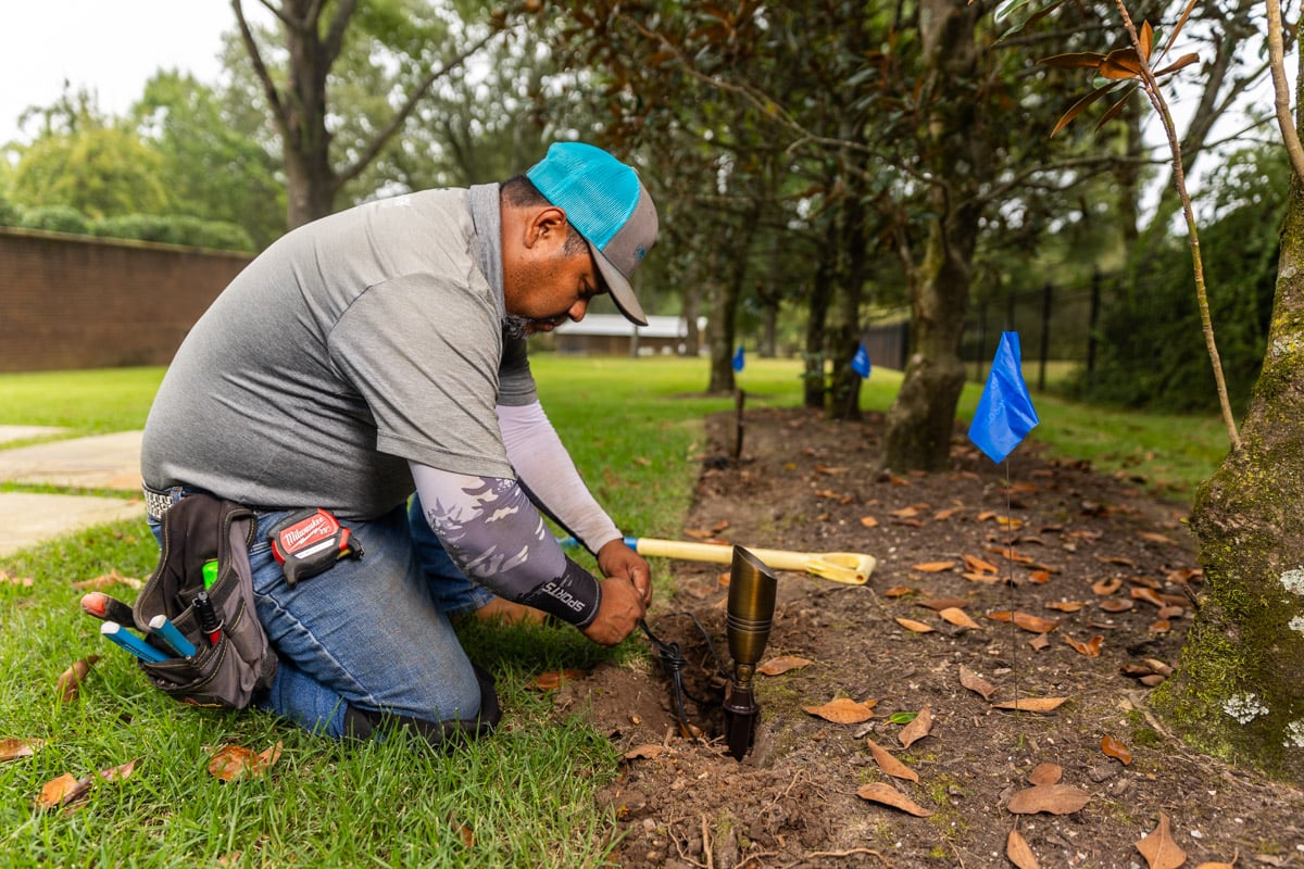 landscape lighting installation crew wiring tree uplighting