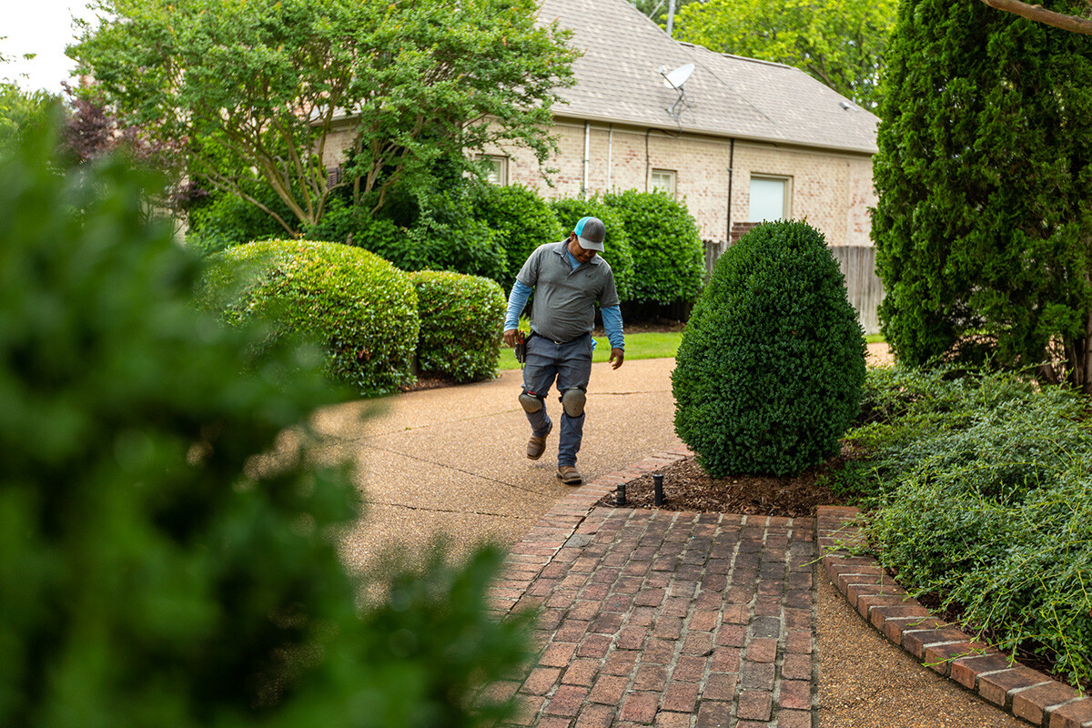 outdoor landscape lighting maintenance team