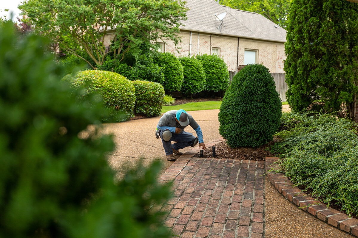 outdoor landscape lighting maintenance team 11