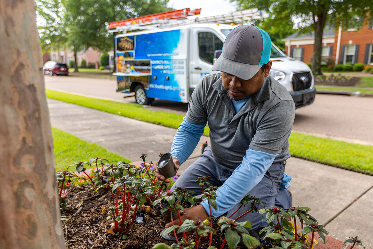 outdoor landscape lighting maintenance