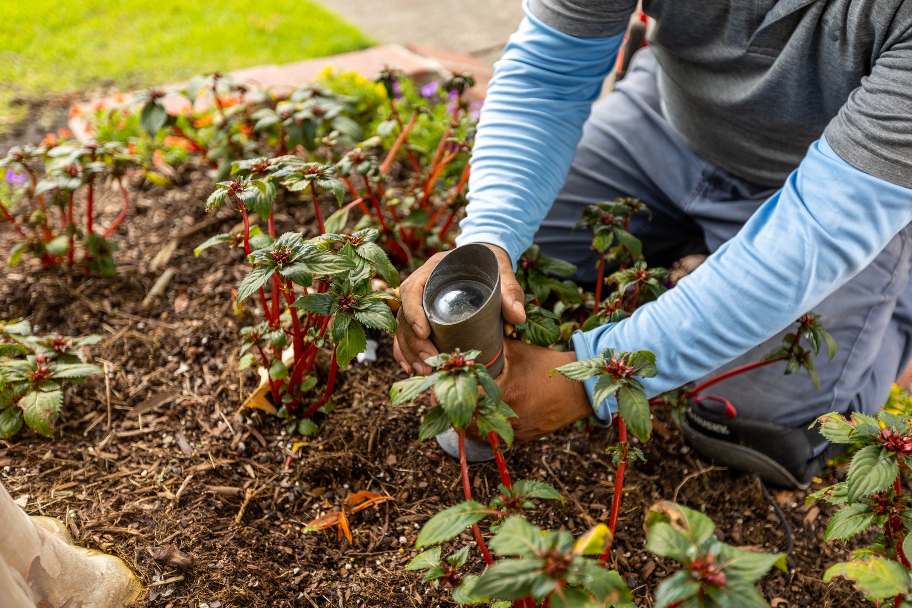 outdoor landscape lighting maintenance team 7