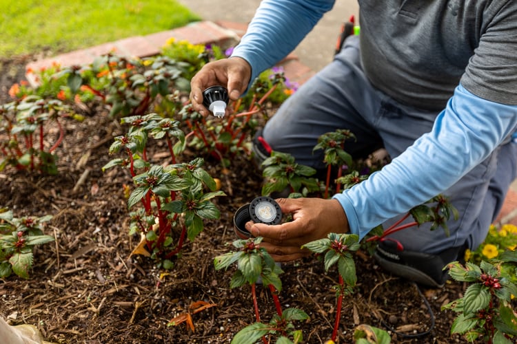 outdoor landscape lighting maintenance team 8