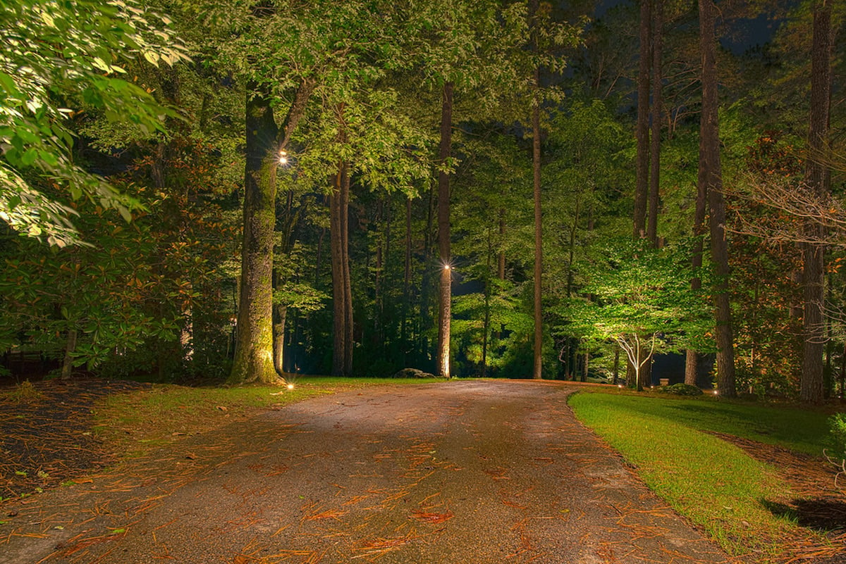 Landscape Lighting Along Drive