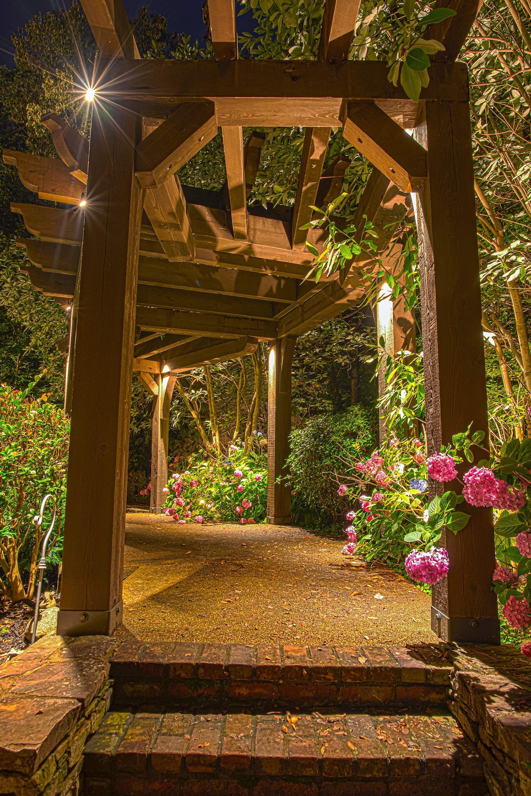 Pergola Walkway Lighting from above 